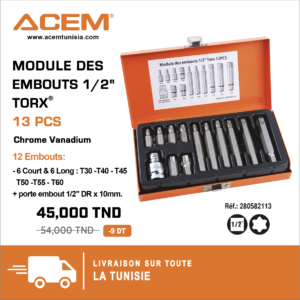 582113 -Module des embouts 1/2" TORX