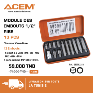 582213 - Module des embouts 1/2" RIBE