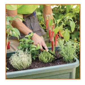 Petits outils de jardinage
