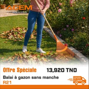 900016 – Balai à gazon R21