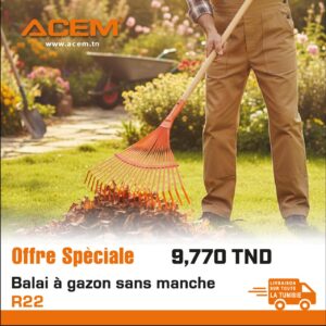 900017 – Balai à gazon R22